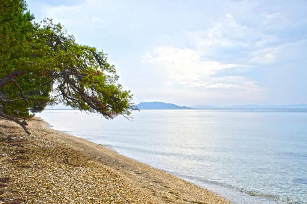 Elia Apartments Sithonia Εξωτερικό φωτογραφία