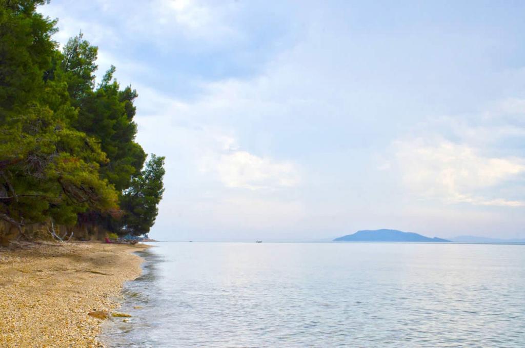 Elia Apartments Sithonia Εξωτερικό φωτογραφία
