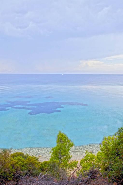Elia Apartments Sithonia Εξωτερικό φωτογραφία